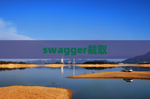 swagger截取